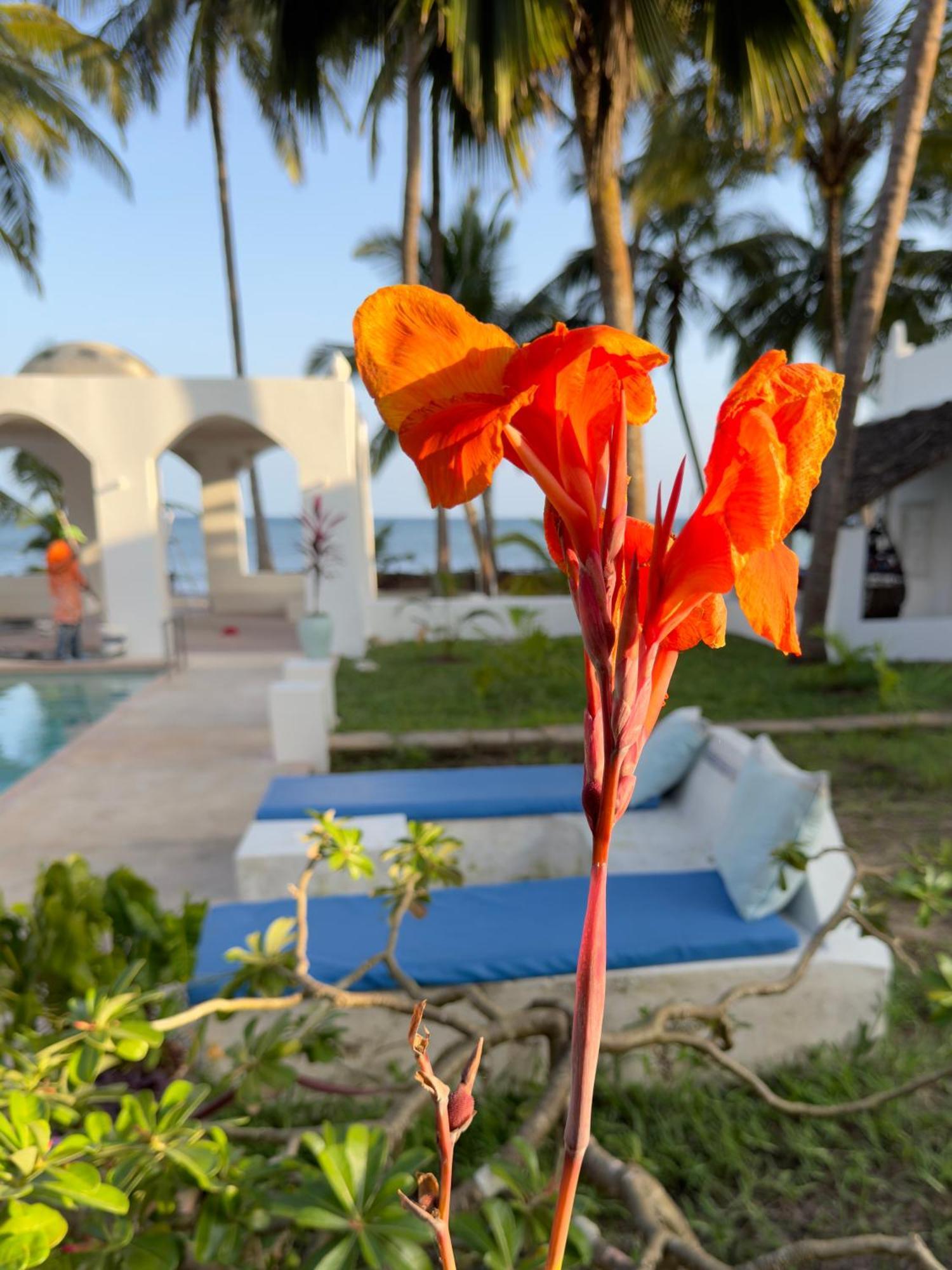 Sawa Sawa Beach House Msambweni Екстериор снимка
